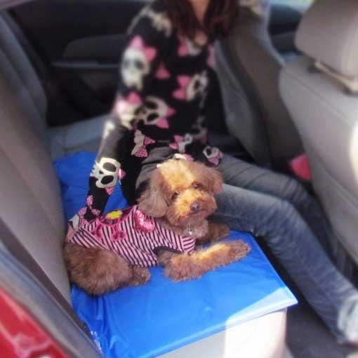 Pet Cooling Mat | Stornfield