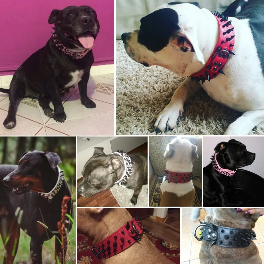 Stornfield Studded Dog Collar for Large Dogs