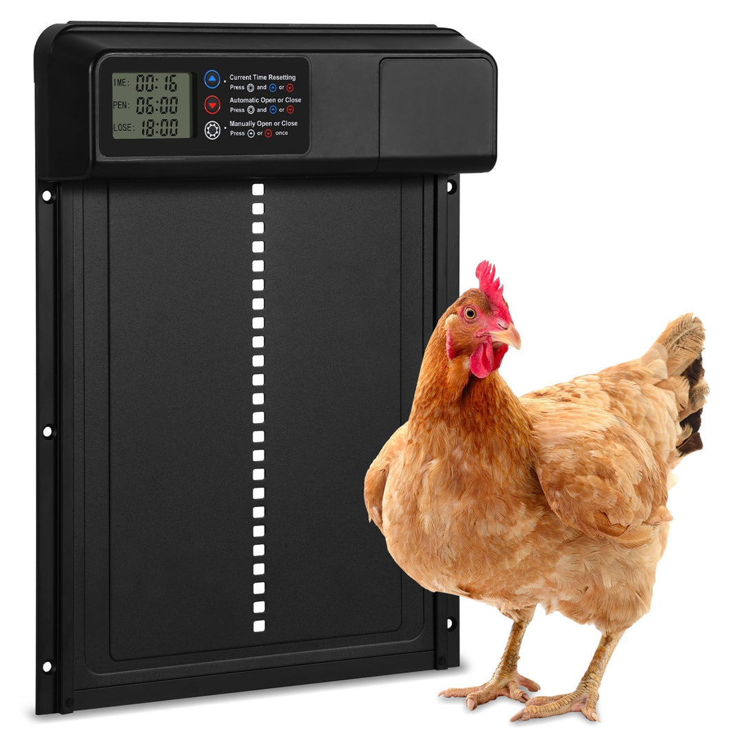 Chicken flap automatic timer | Stornfield