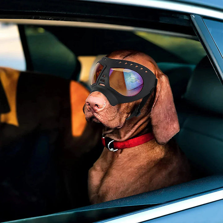 Stornfield Shadow Dog Goggles