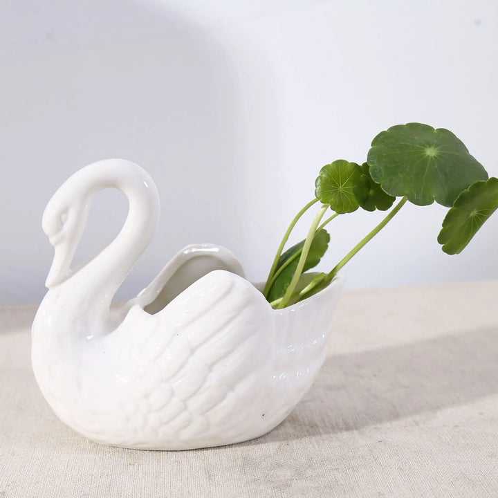Swan Minimal Ceramic Pot | Stornfield