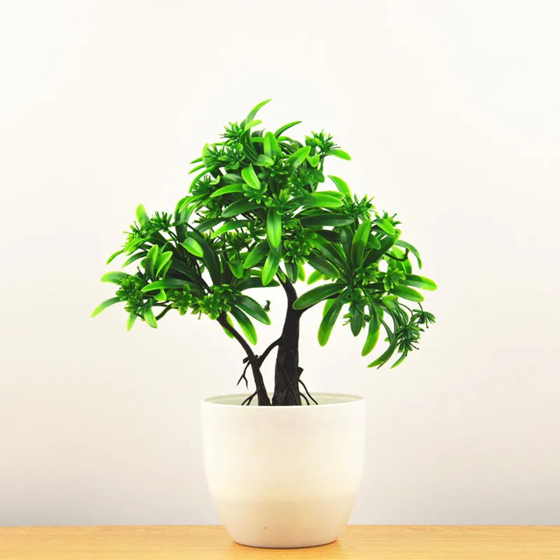 Stornfield | Small Tree Pot Bonsai Plants
