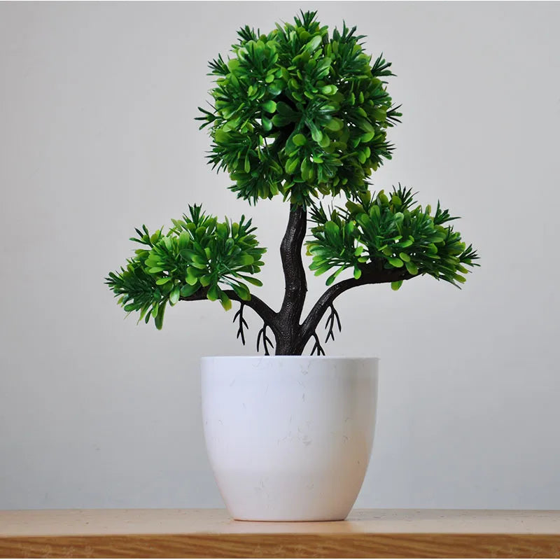 Stornfield | Small Tree Pot Bonsai Plants