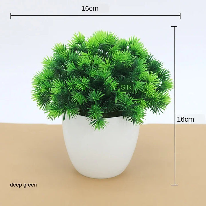 Stornfield | Small Tree Pot Bonsai Plants