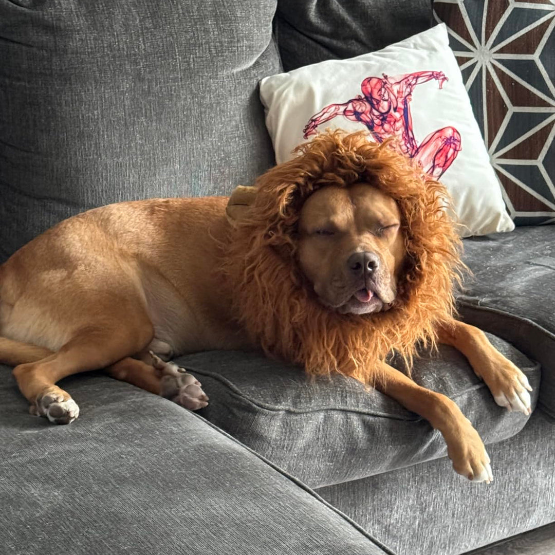 Stornfield | Halloween Dog Costume Lion Mane Wig