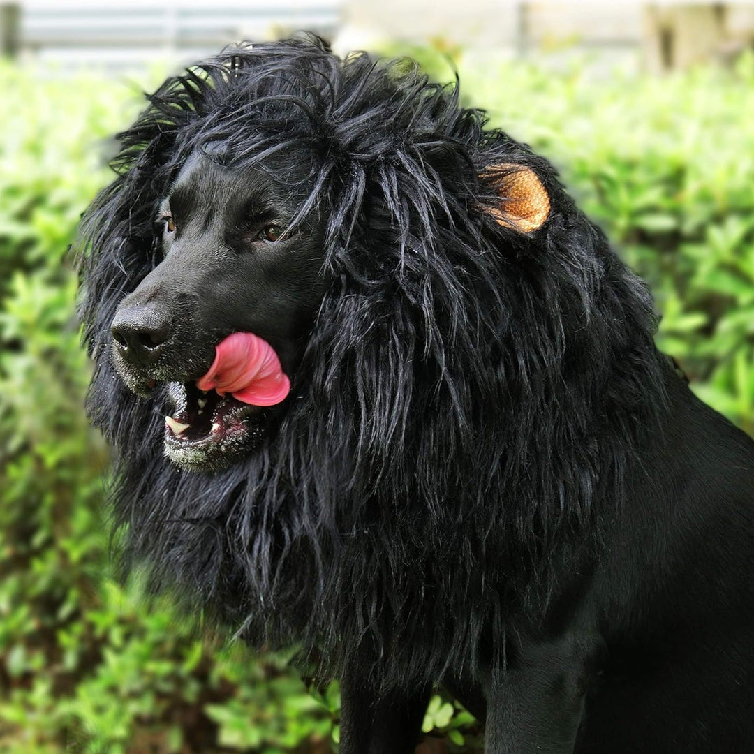 Stornfield | Halloween Dog Costume Lion Mane Wig