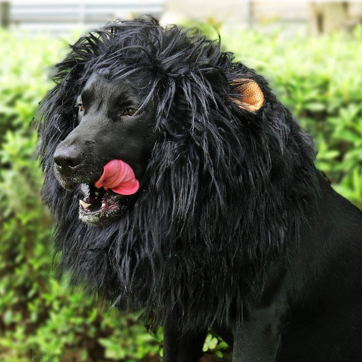 Stornfield | Halloween Dog Costume Lion Mane Wig