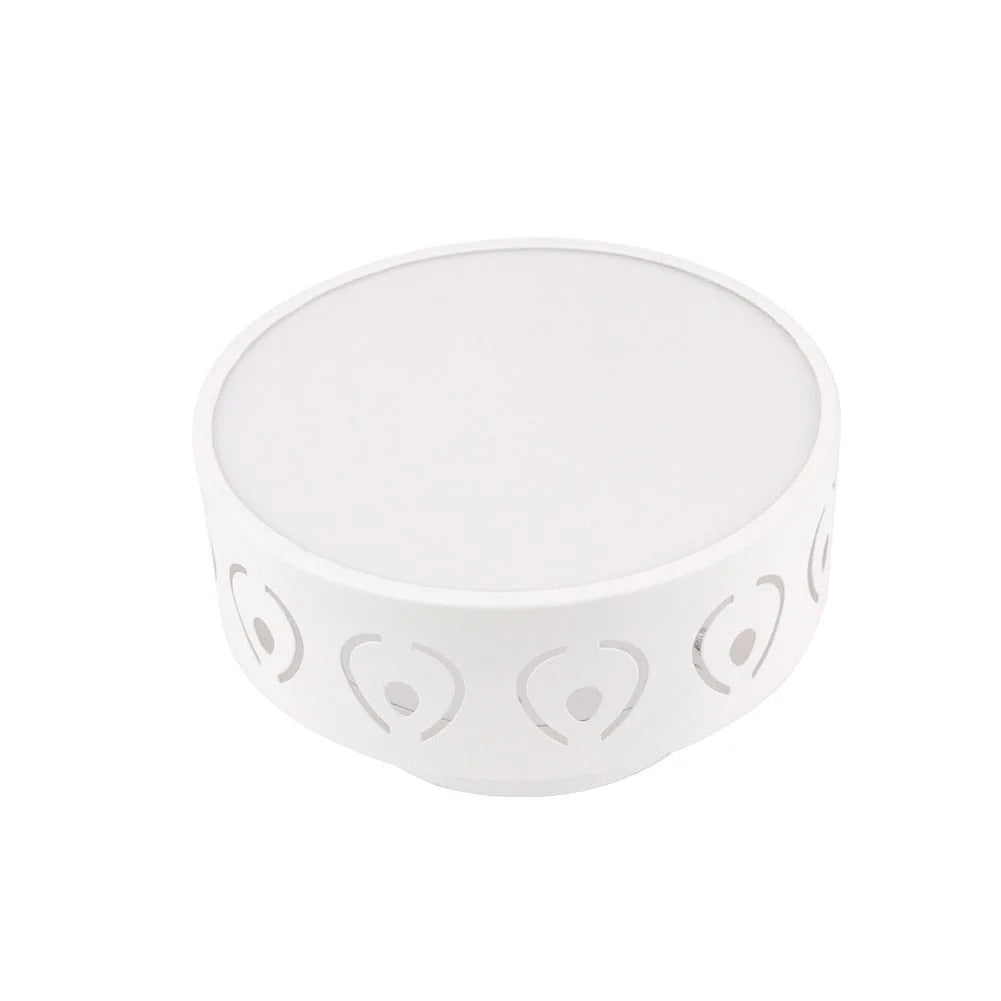 Elegant Hallway Ceiling Light – Warm or Cool White | Stornfield