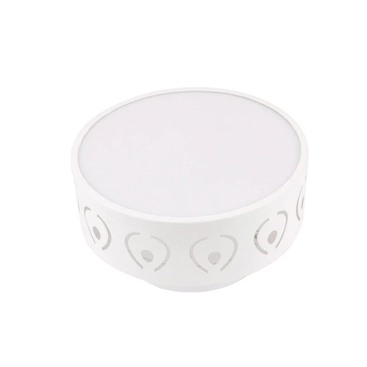 Elegant Hallway Ceiling Light – Warm or Cool White | Stornfield
