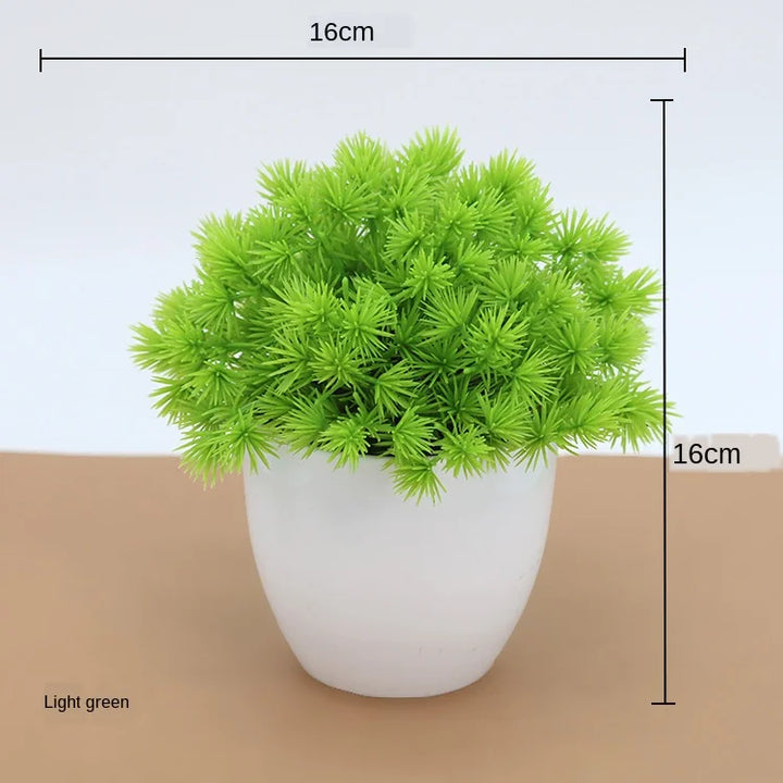 Stornfield | Small Tree Pot Bonsai Plants
