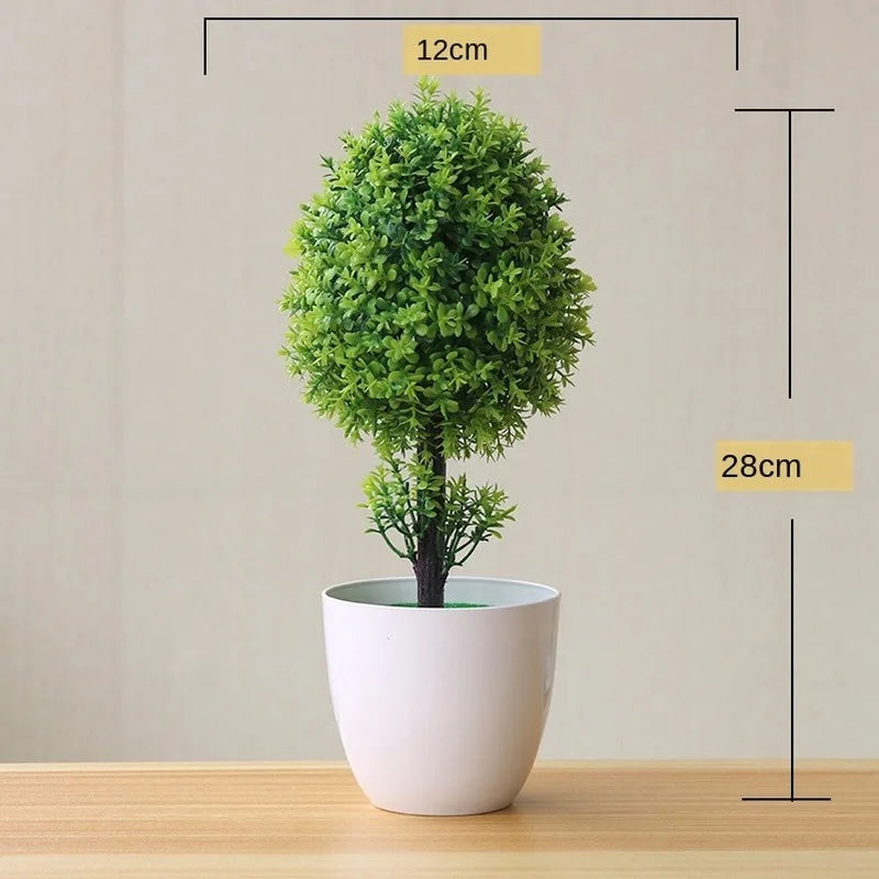 Stornfield | Small Tree Pot Bonsai Plants