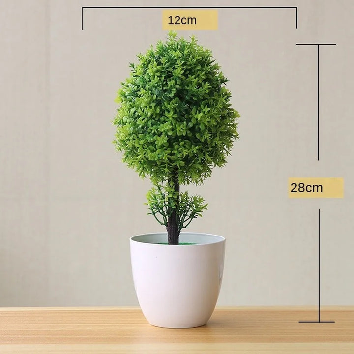 Stornfield | Small Tree Pot Bonsai Plants