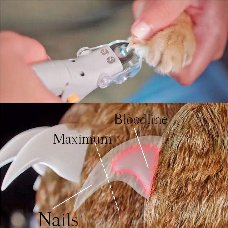 Stornfield | Dog Nail Clippers | Safe Nail Clippers
