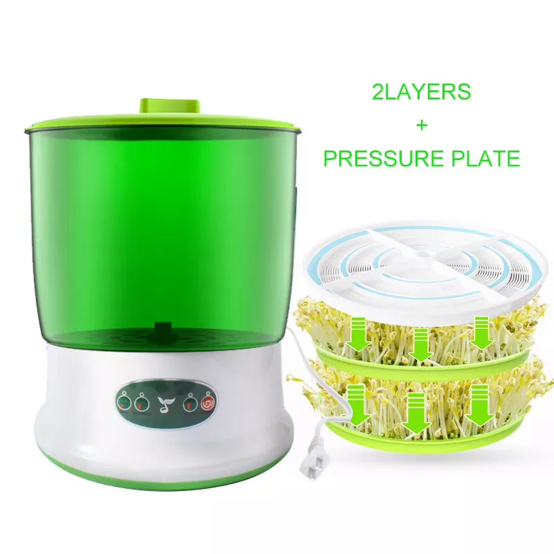 Stornfield | Intelligent Sprout Grower - Automatic Electric Growth Container for Green Vegetable Seeds - Thermostat Germination Machine
