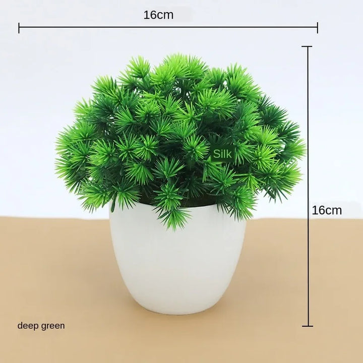 Stornfield | Small Tree Pot Bonsai Plants