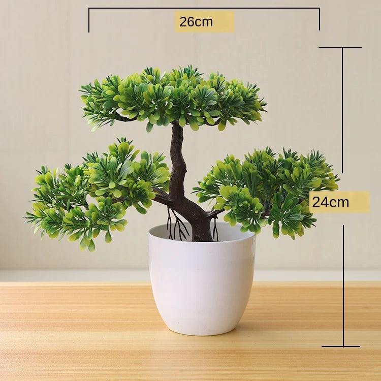Stornfield | Small Tree Pot Bonsai Plants