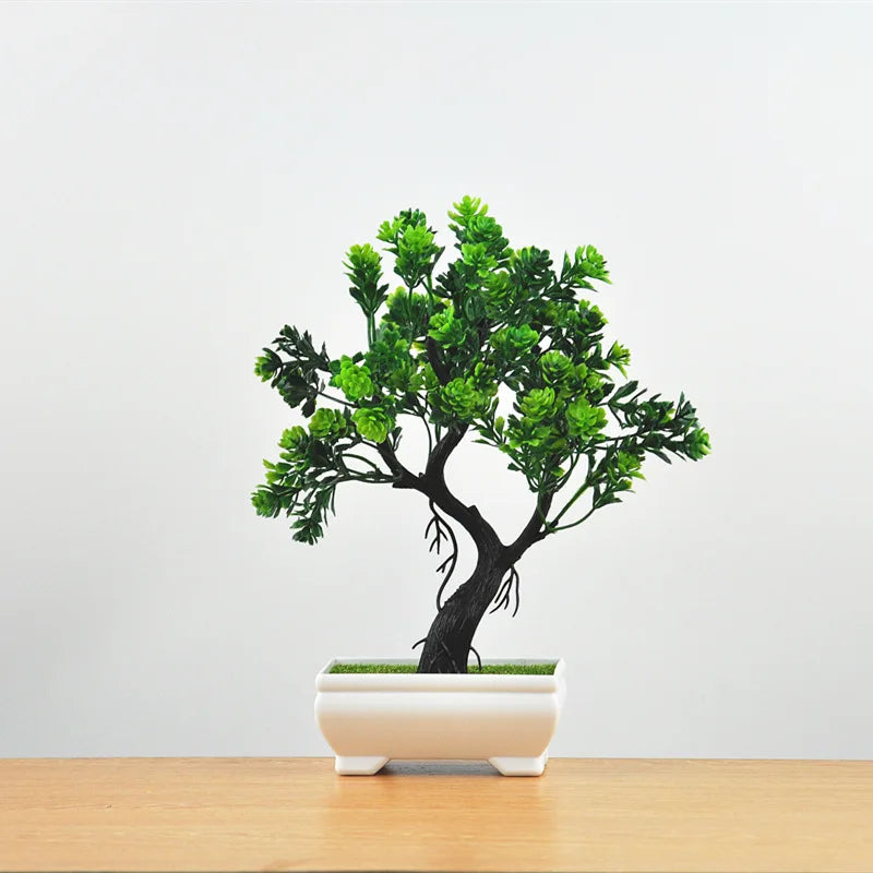 Stornfield | Small Tree Pot Bonsai Plants