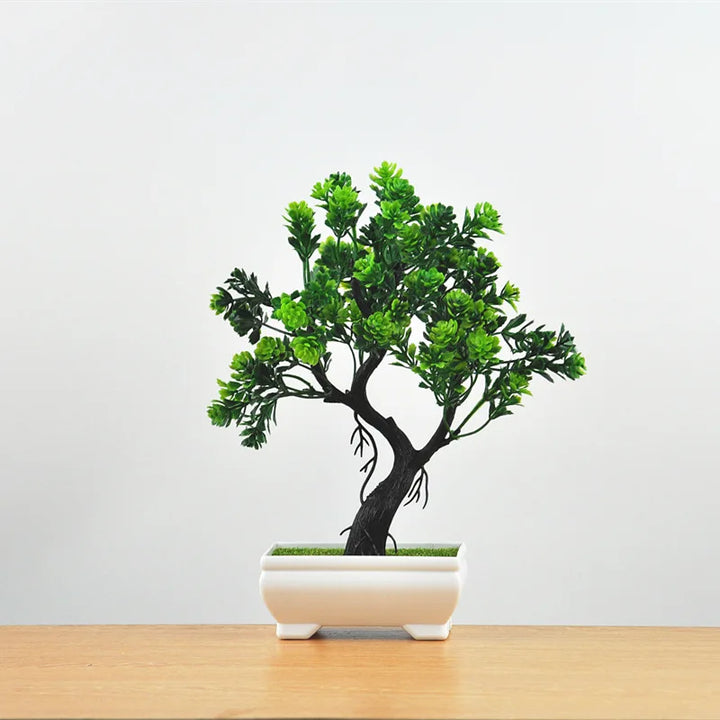 Stornfield | Small Tree Pot Bonsai Plants