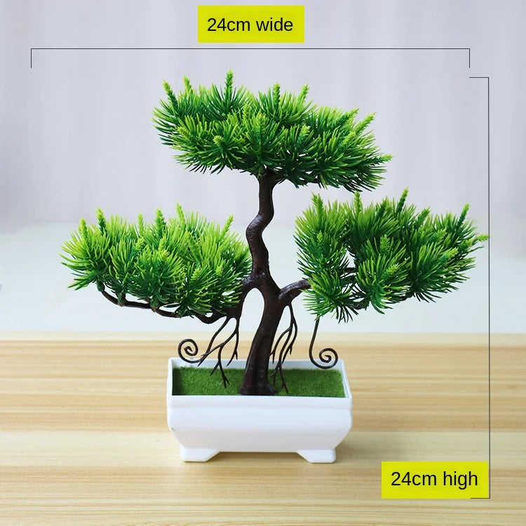 Stornfield | Small Tree Pot Bonsai Plants