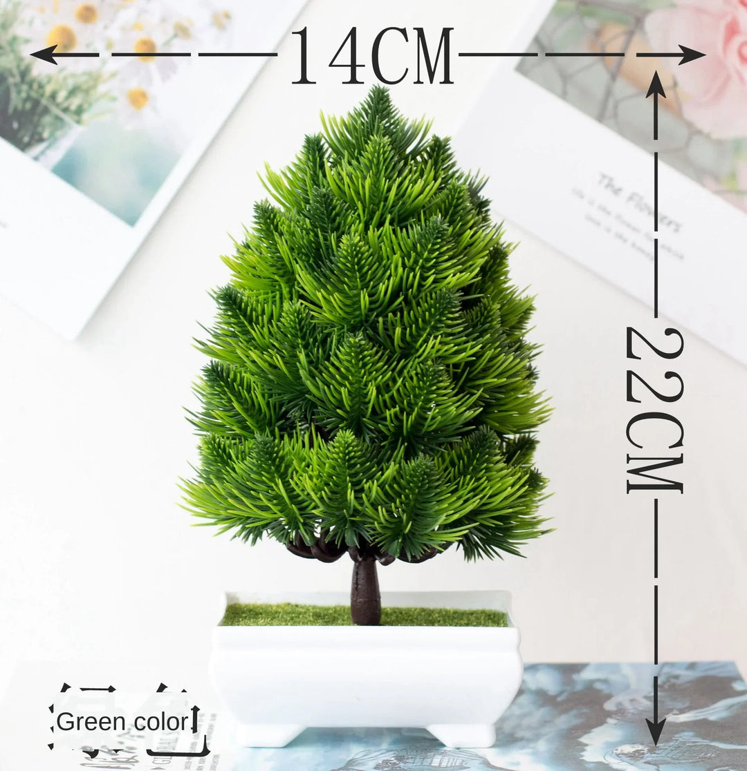Stornfield | Small Tree Pot Bonsai Plants