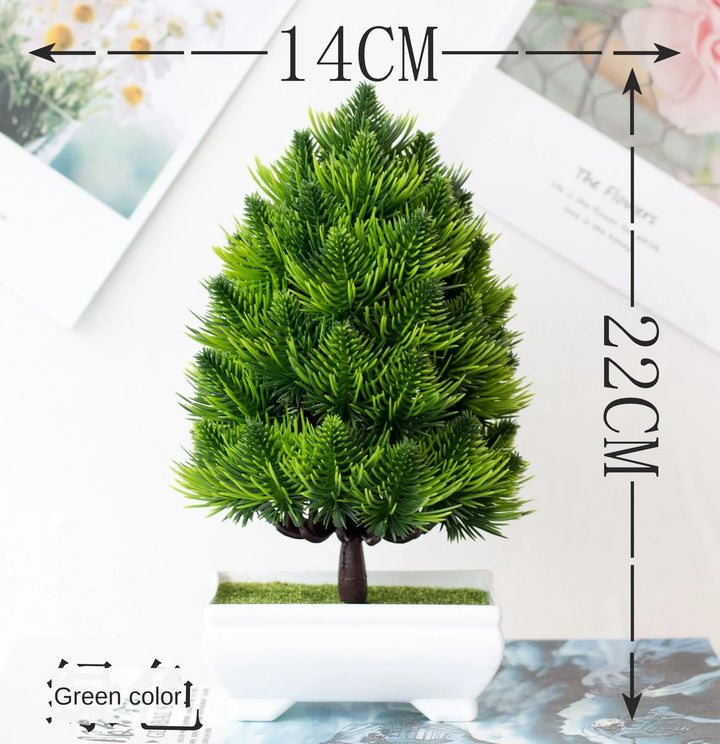 Stornfield | Small Tree Pot Bonsai Plants