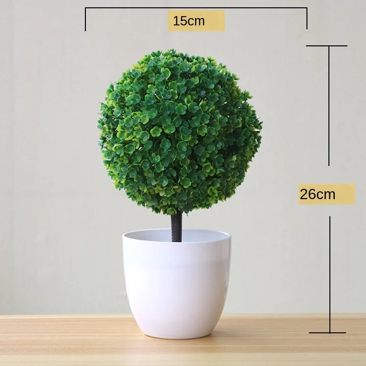Stornfield | Small Tree Pot Bonsai Plants
