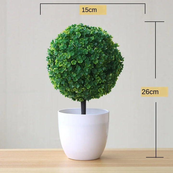 Stornfield | Small Tree Pot Bonsai Plants