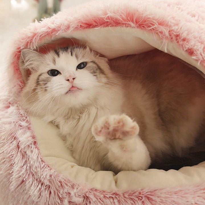 KittyCove Ultimate Comfort for Your Cat | Stornfield