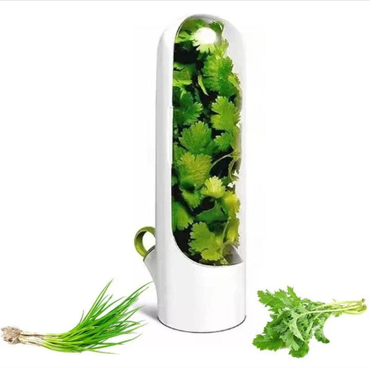 Herb storage container for fresh vanilla, vegetables, and herbs in the kitchen | Stornfield