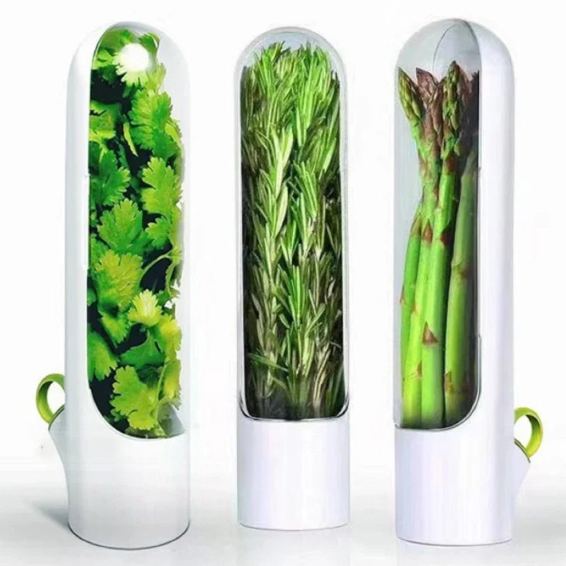 Herb storage container for fresh vanilla, vegetables, and herbs in the kitchen | Stornfield