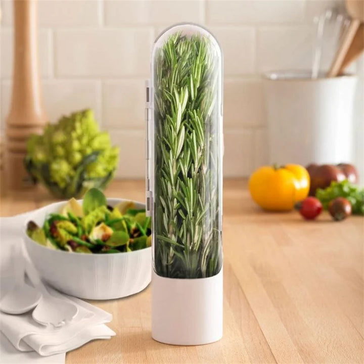 Herb storage container for fresh vanilla, vegetables, and herbs in the kitchen | Stornfield