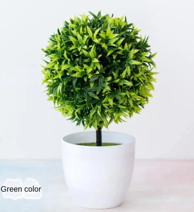 Stornfield | Small Tree Pot Bonsai Plants