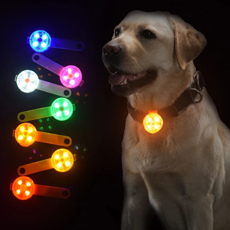 Stornfield rechargeable LED pet safety tag