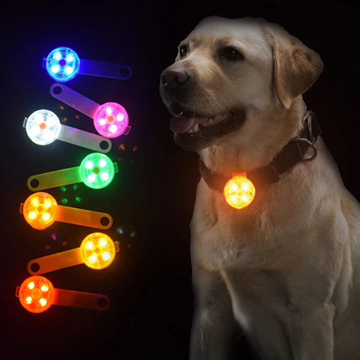 Stornfield rechargeable LED pet safety tag