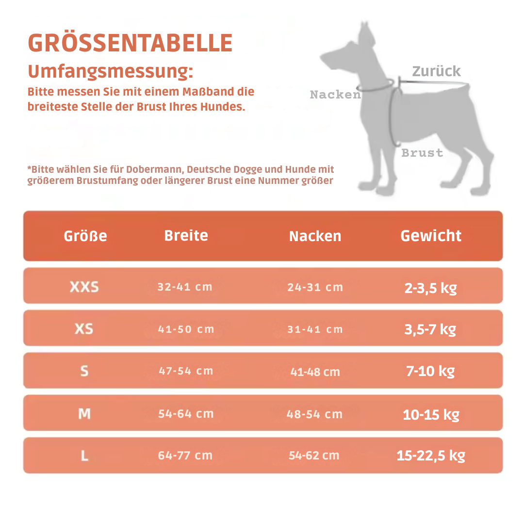 Breathable, adjustable & comfortable Stornfield dog harness