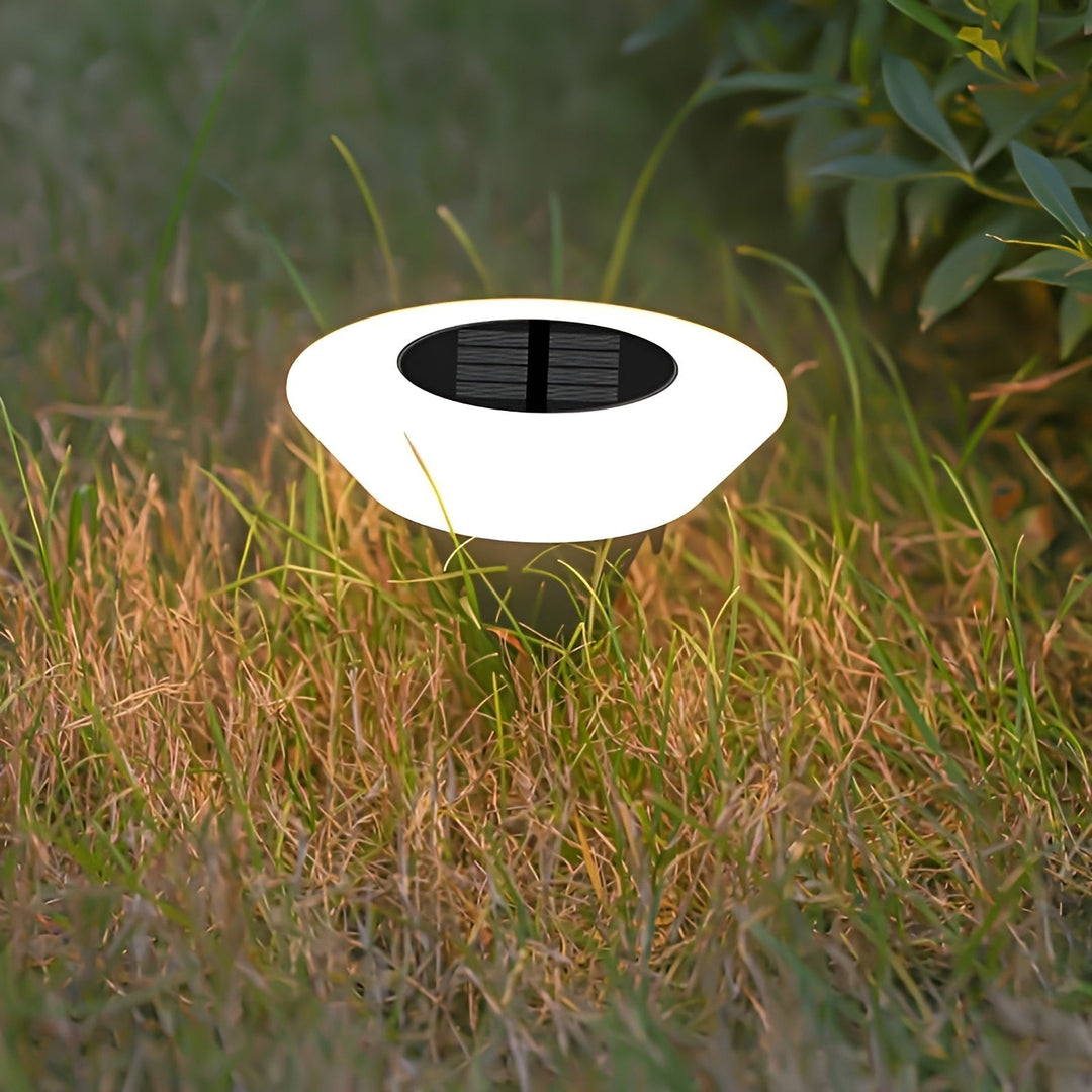 Stornfield | Solar LED Garden Light for Outdoor Use