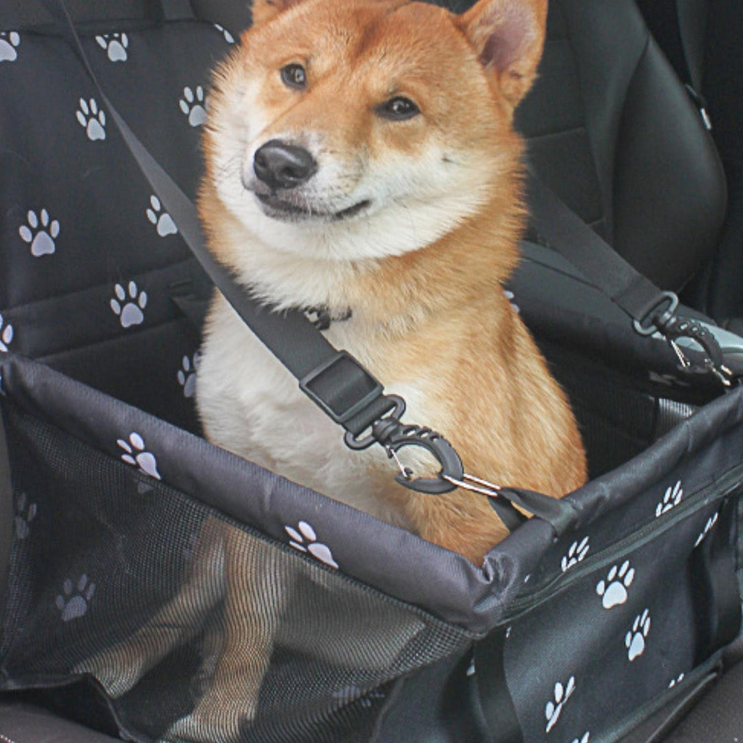 AutoPoot Elevated Dog Car Seat – Waterproof, Nonslip and Safe for On the Go | Stornfield