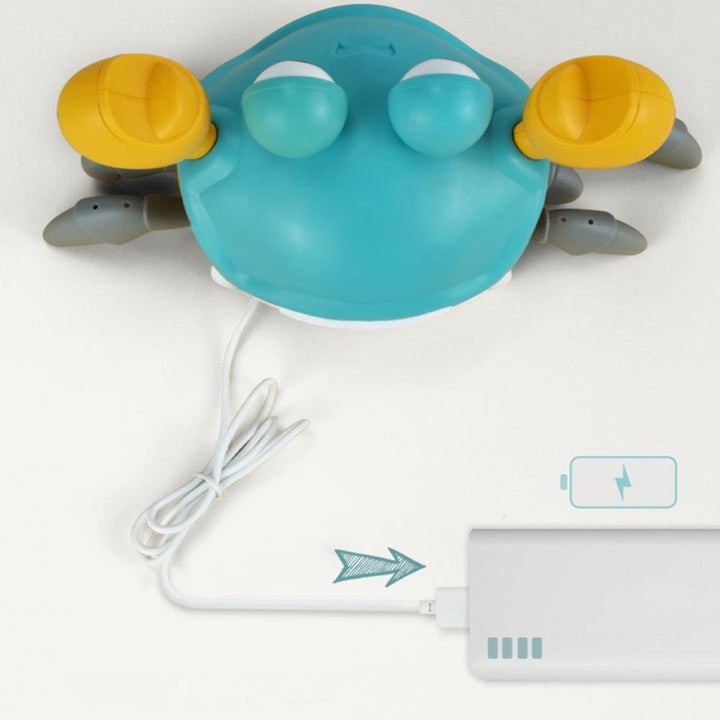 Dancing Crab Toy | Stornfield