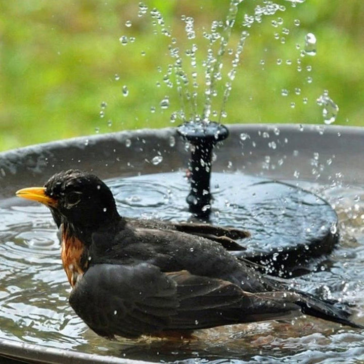 Stornfield | Solar Energy Fountain Pump WaterSoft – For Pond, Birdbath or Garden Decoration
