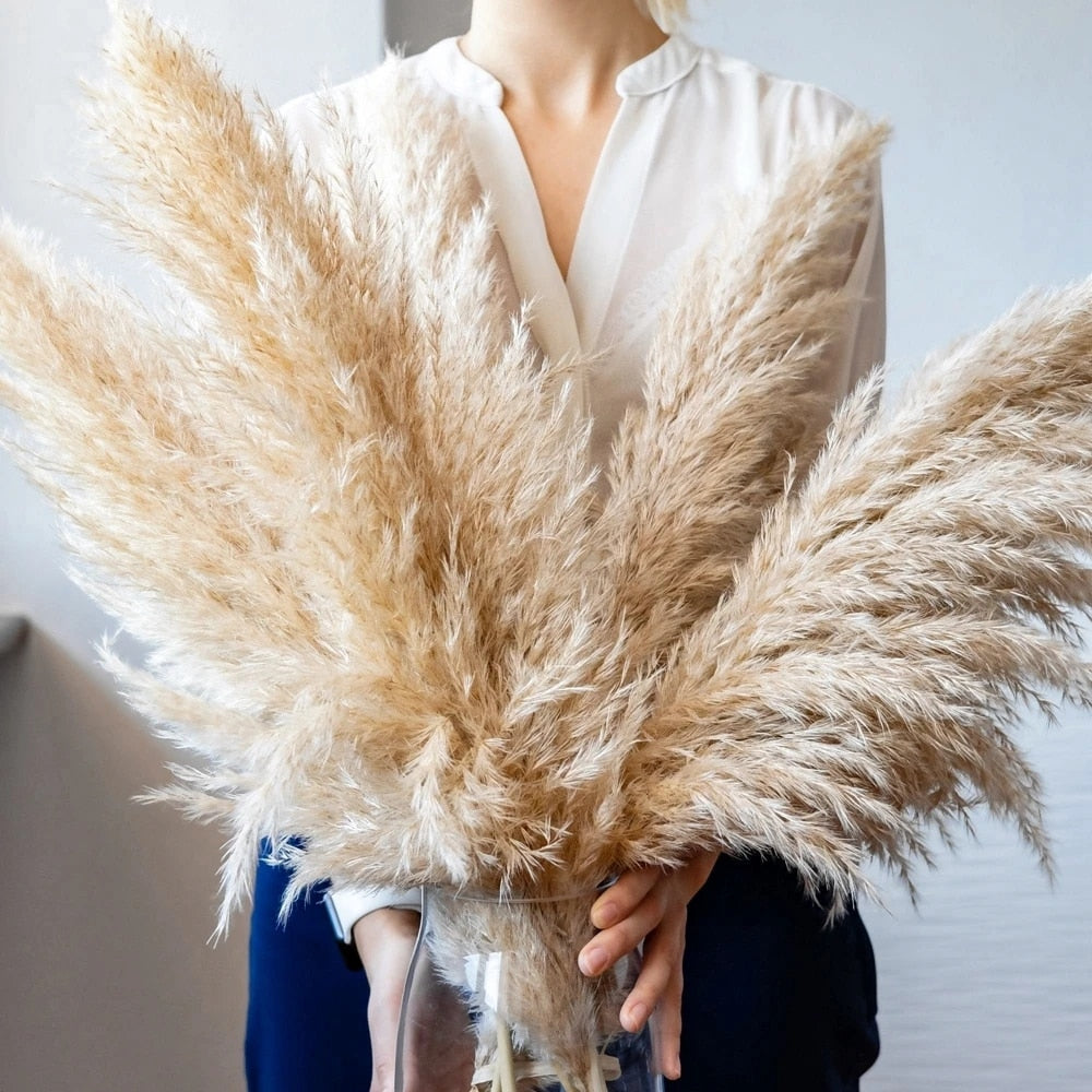 Stornfield | FeatherFawn - Dried Pampas Flowers