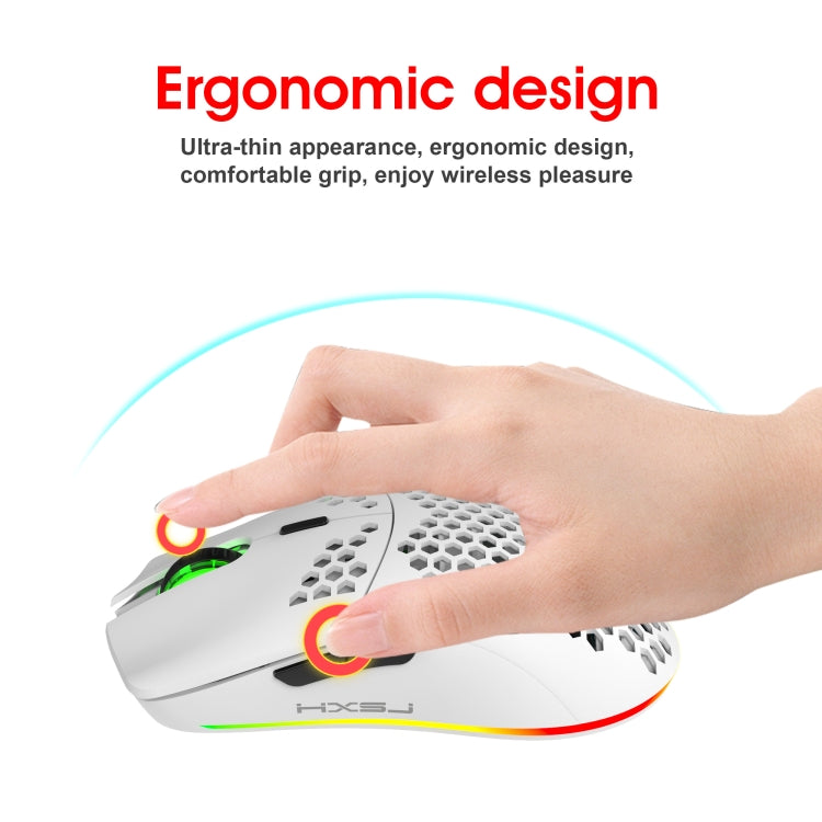 Stornfield | HXSJ T66 7 Button Wireless Programmable Gaming Mouse with Colorful Backlight (White)