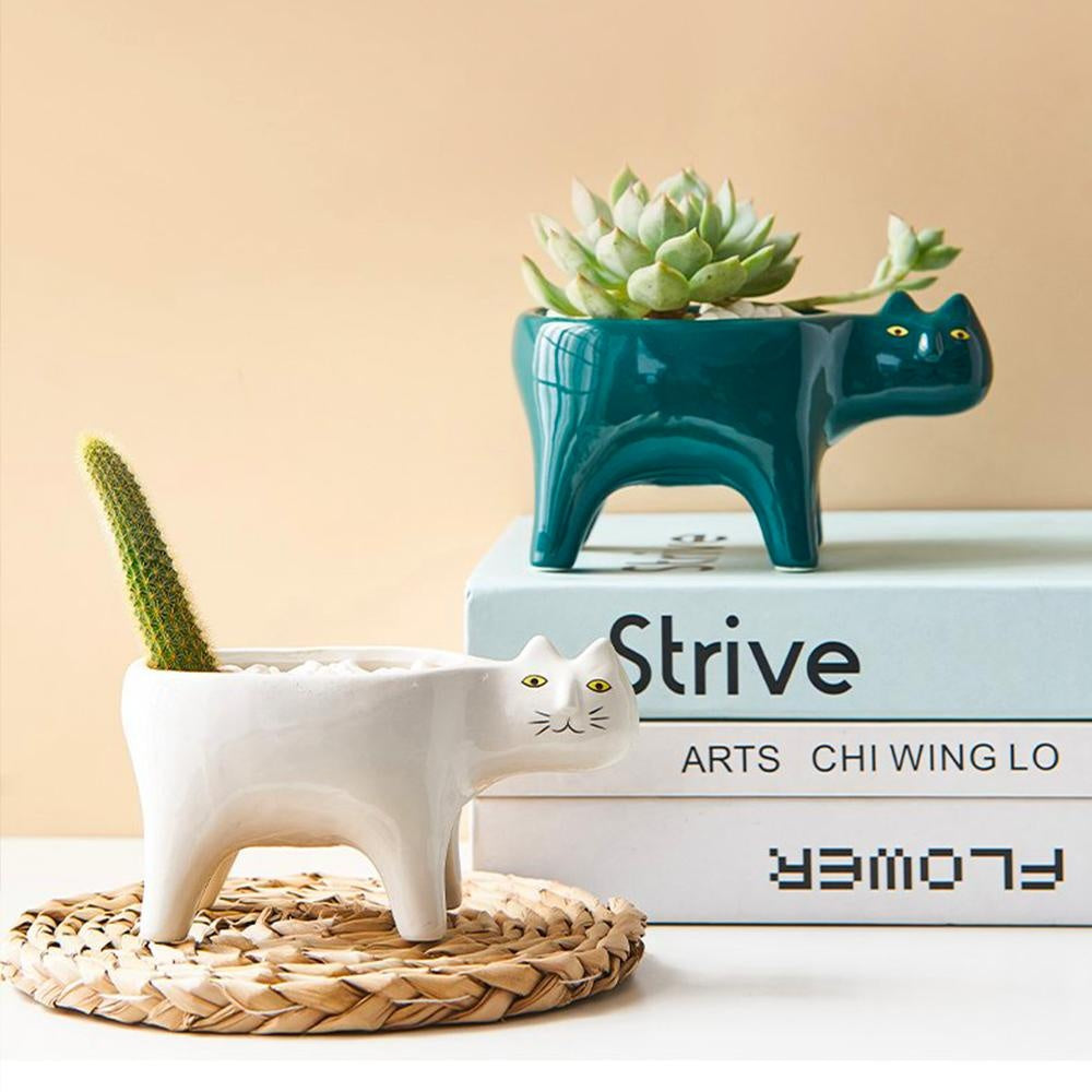 Kat Pot | Stornfield