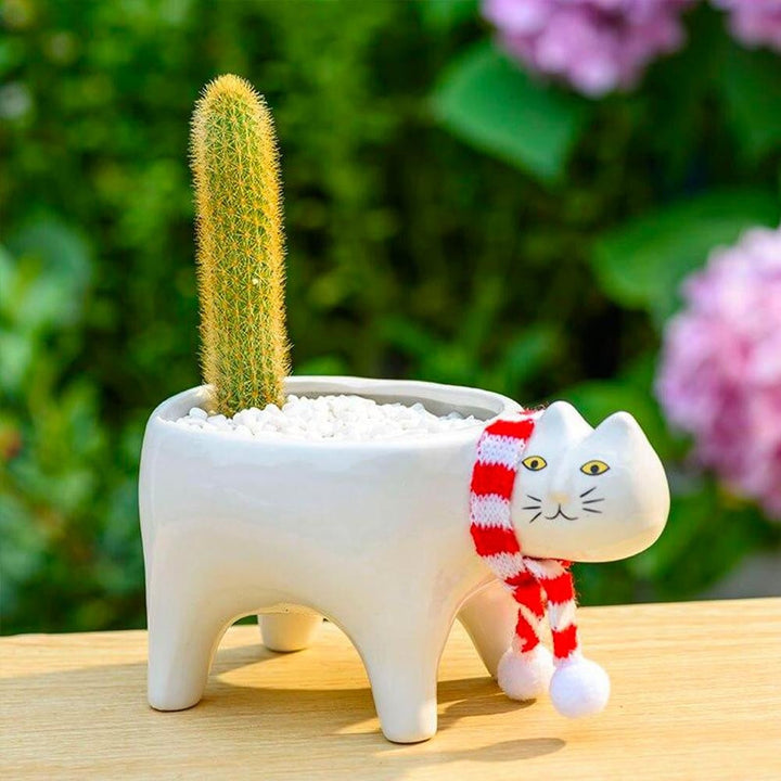 Kat Pot | Stornfield