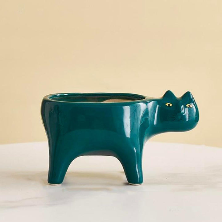 Kat Pot | Stornfield