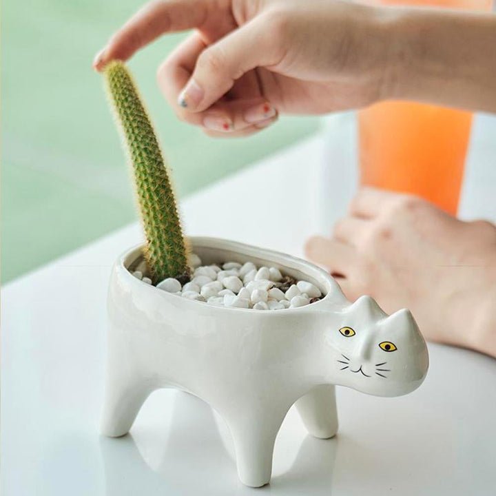 Kat Pot | Stornfield