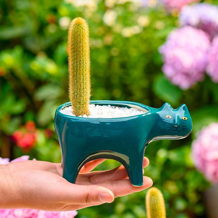 Kat Pot | Stornfield