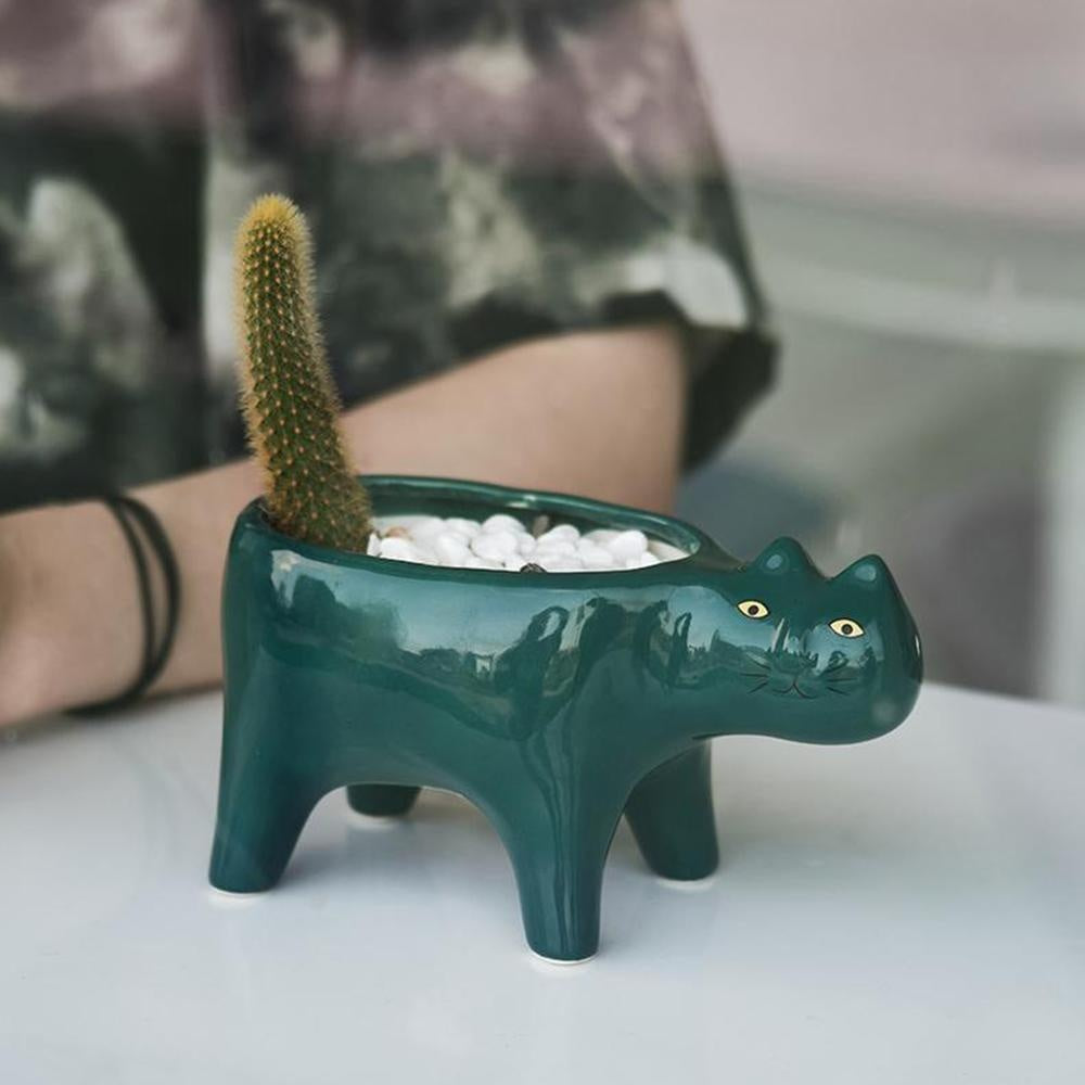 Kat Pot | Stornfield