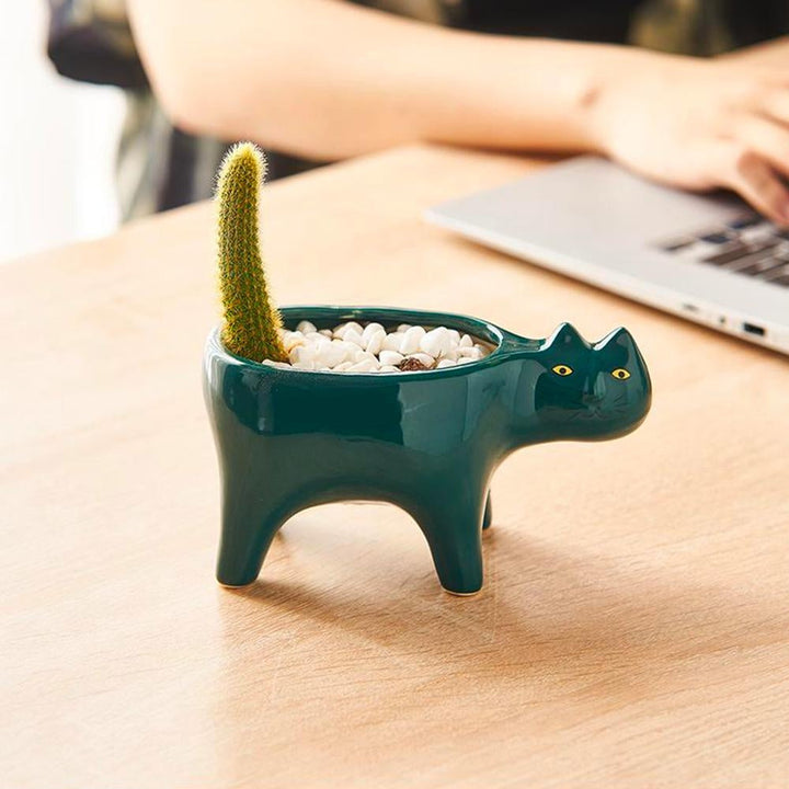 Kat Pot | Stornfield