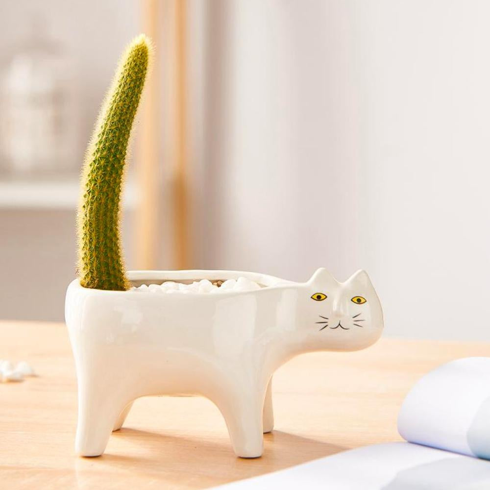 Kat Pot | Stornfield