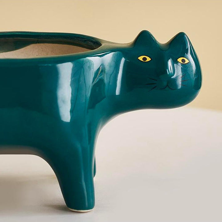Kat Pot | Stornfield